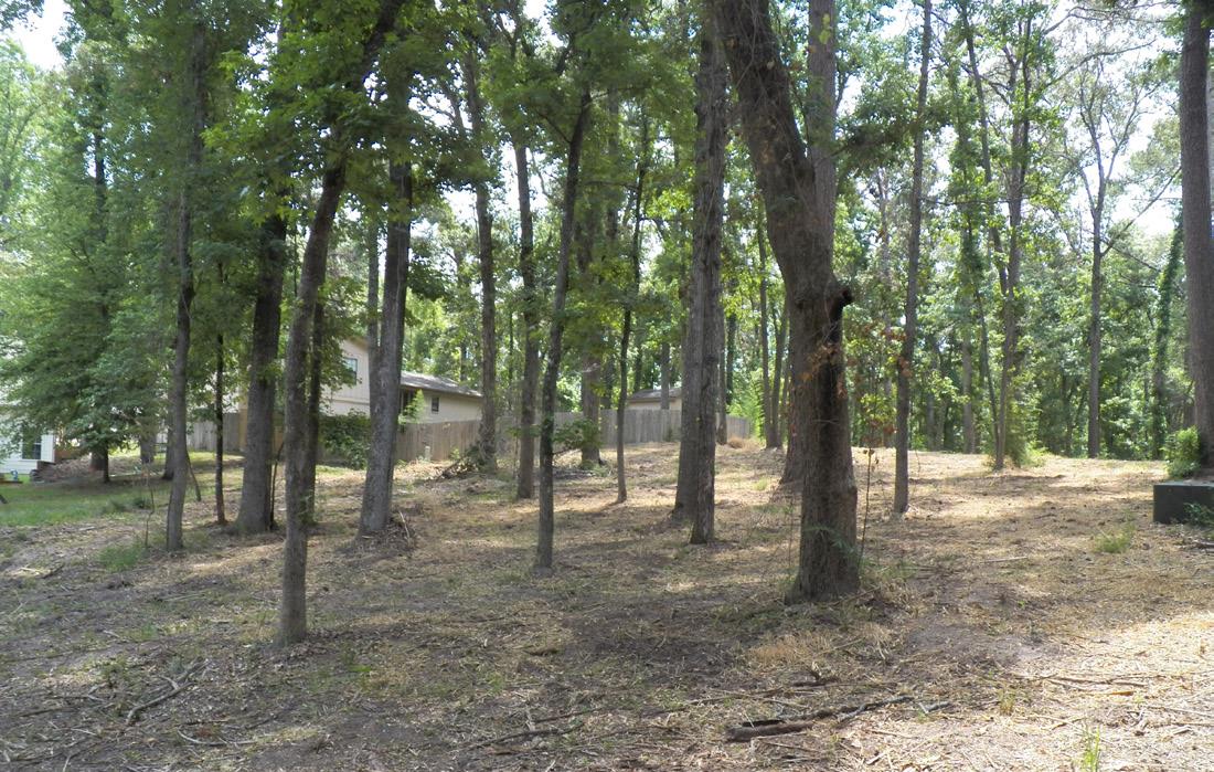 Walker_County Walker_County